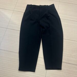 Women’s Zara Black Pleated Dress  Pants size M